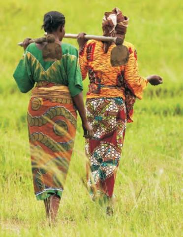 Levelling the field : improving opportunities for women farmers in Africa