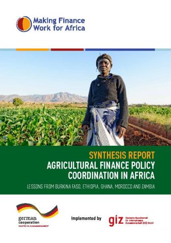 Agricultural Finance Policy Coordination in Africa: Synthesis Report