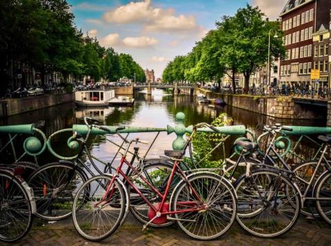 Amsterdam Bicycles by Jace Grandinetti